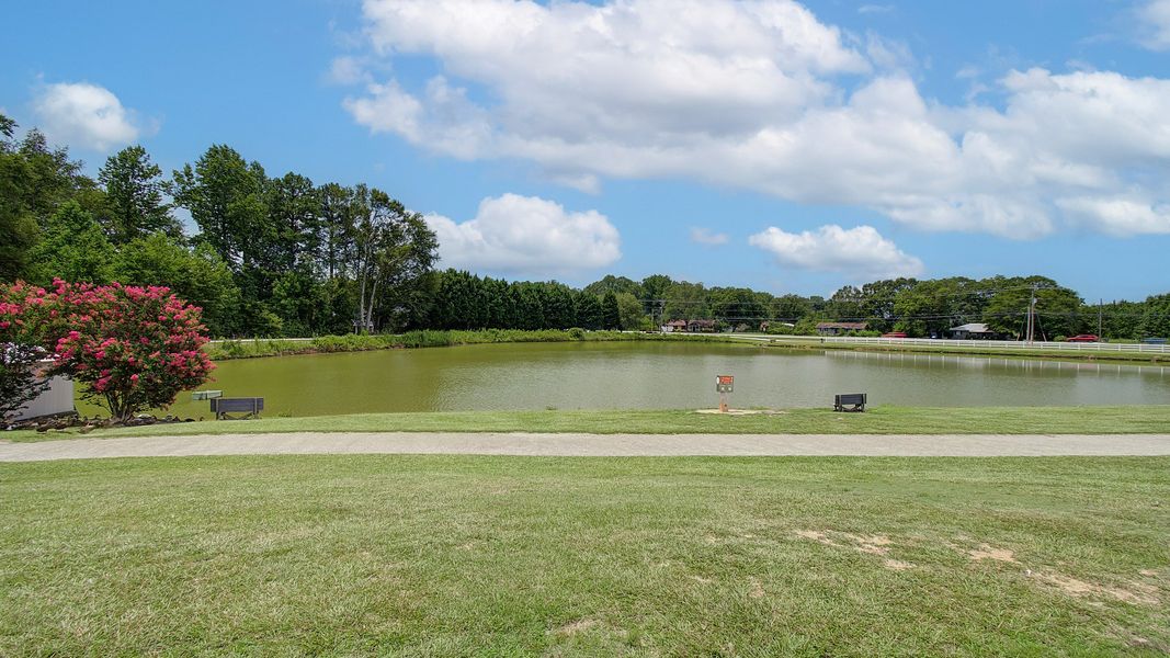 Natural surroundings and green spaces near Everson in Snellville, GA (Image 22).