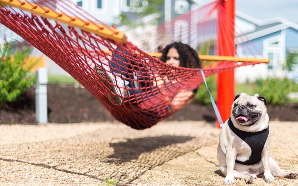 Image 9 of the Discovery Park at Easton Park community in Austin, TX.