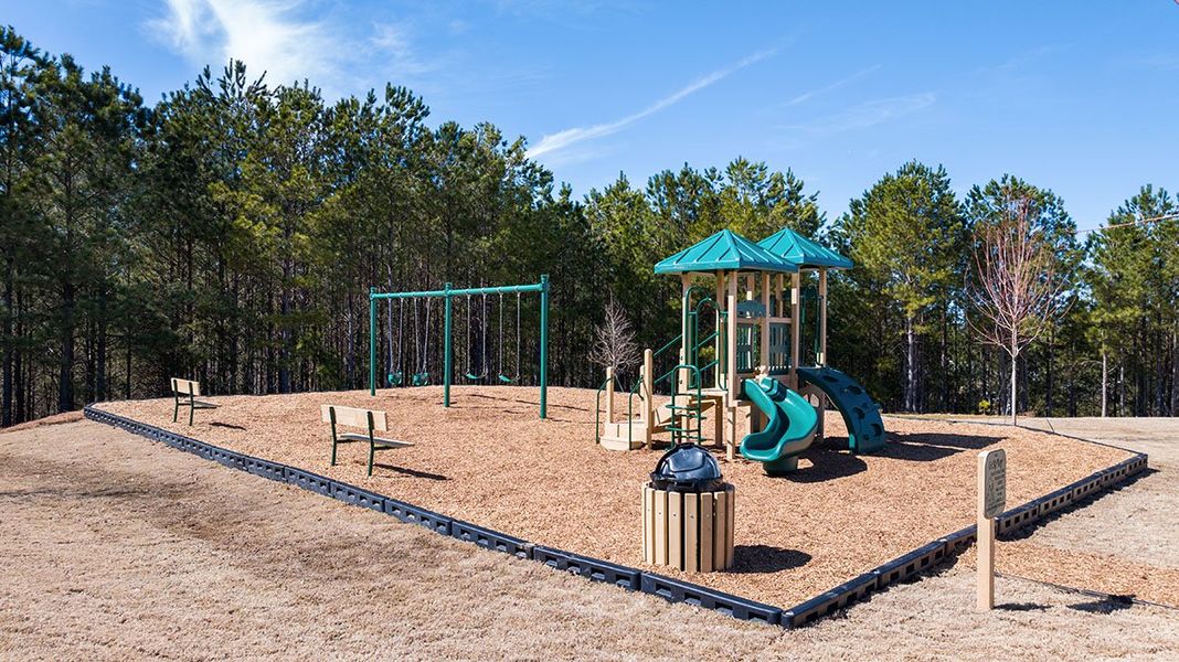 Community amenity available to residents of Oaks at Cedar Grove in Fairburn (Image 28).