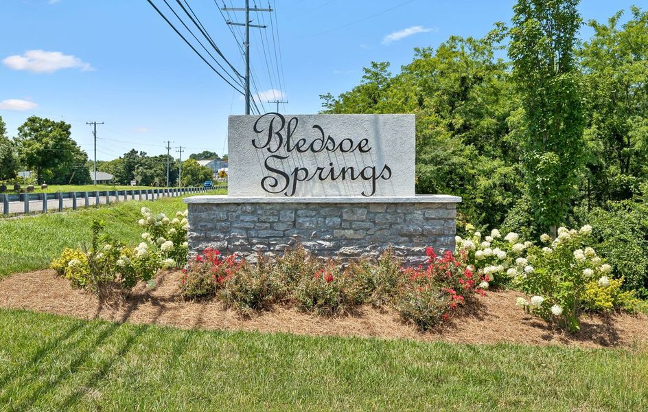 Bledsoe Springs Entrance