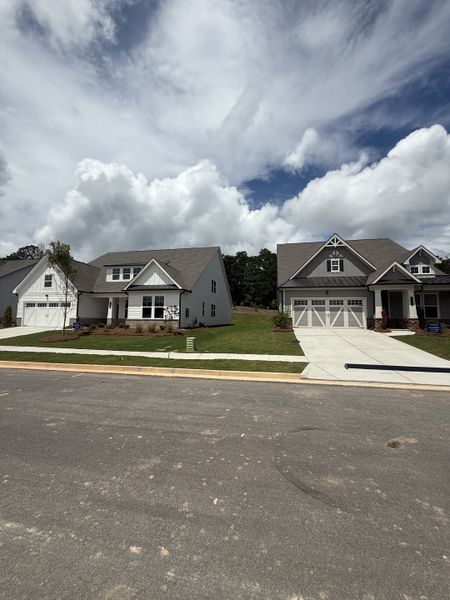 A charming suburban street with modern homes and manicured lawns in Twelve Parks 55+ by Lennar (Sharpsburg, GA).