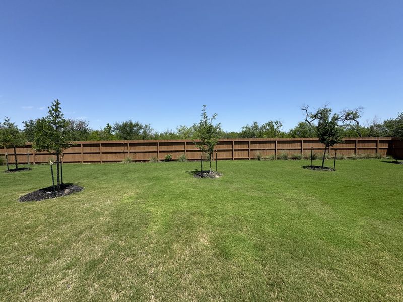 A lush, green backyard with a wooden fence and young trees in Spanish Trails by KB Home (San Antonio, TX). A lush, green backyard with a wooden fence and young trees in Spanish Trails by KB Home (San Antonio, TX).