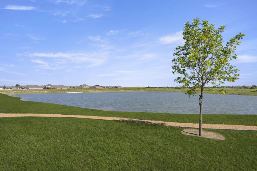 Natural surroundings and green spaces near Walden Pond in Forney, TX (Image 29).