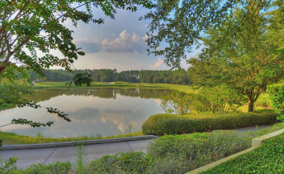 Natural surroundings and green spaces near Amelia National in Fernandina Beach, FL (Image 30).