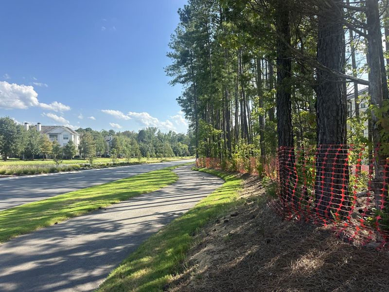 Walking Trail Walking Trail