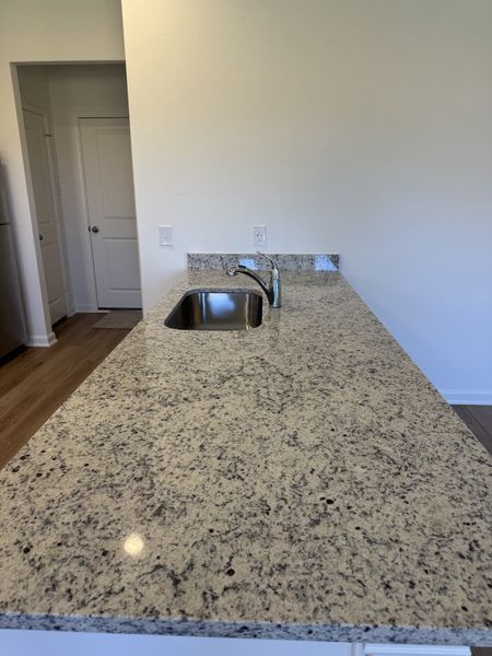 A modern kitchen with a sleek granite countertop, stainless steel sink, and subtle wood flooring for a stylish touch.