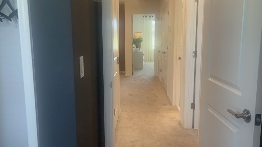 A well-lit hallway with soft carpet leads to a sunlit room and features modern doors and neutral tones for a cozy ambiance.