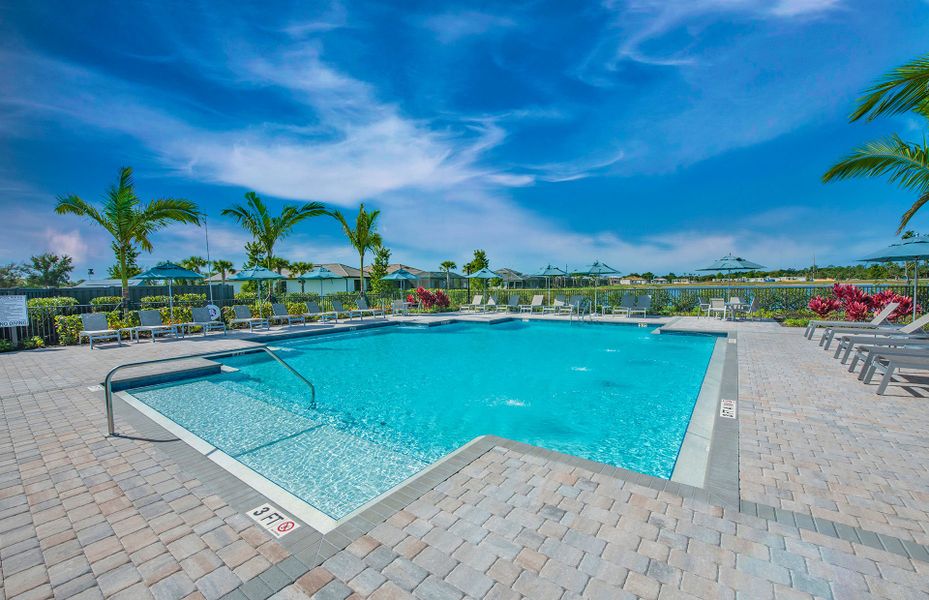 Conceptual amenities coming to this new home construction community