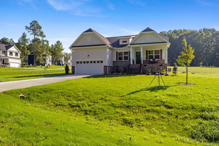 The Wisteria II The Wisteria II