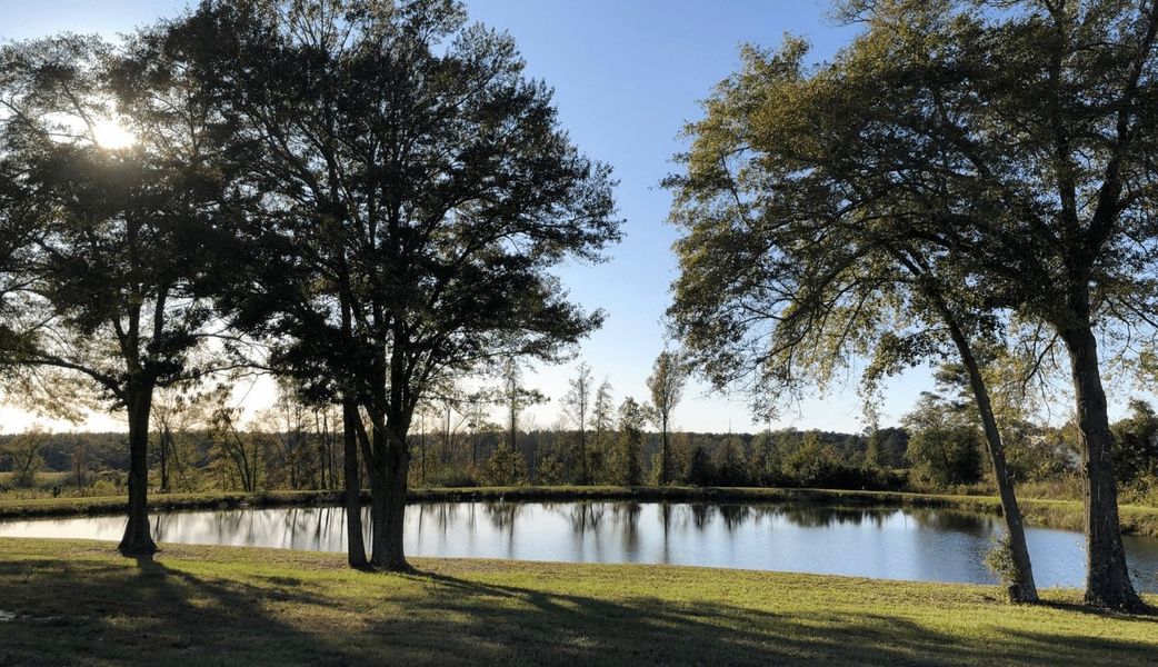 Image 4 of the Beverly Place community in Four Oaks, NC.