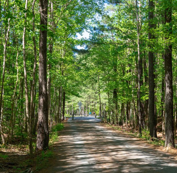 Natural surroundings and green spaces near The Townes at Willow Park in Cary, NC (Image 9). Natural surroundings and green spaces near The Townes at Willow Park in Cary, NC (Image 9).