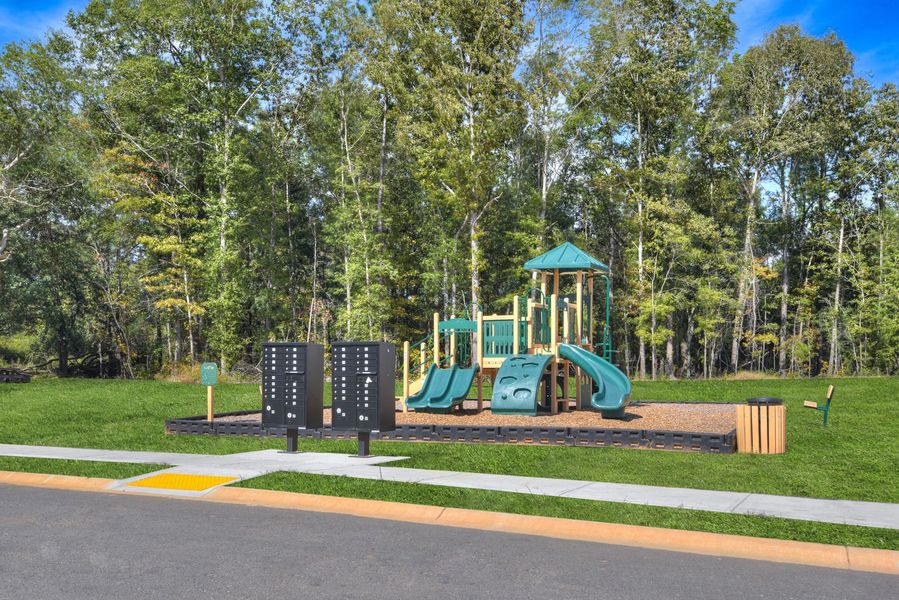 A vibrant community playground where families can gather, play, and make lasting memories