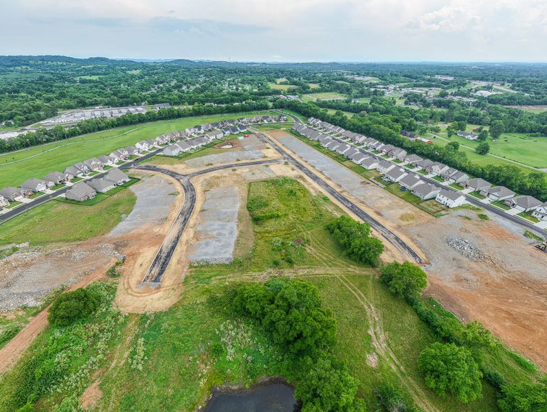 New Phase NOW SELLING!