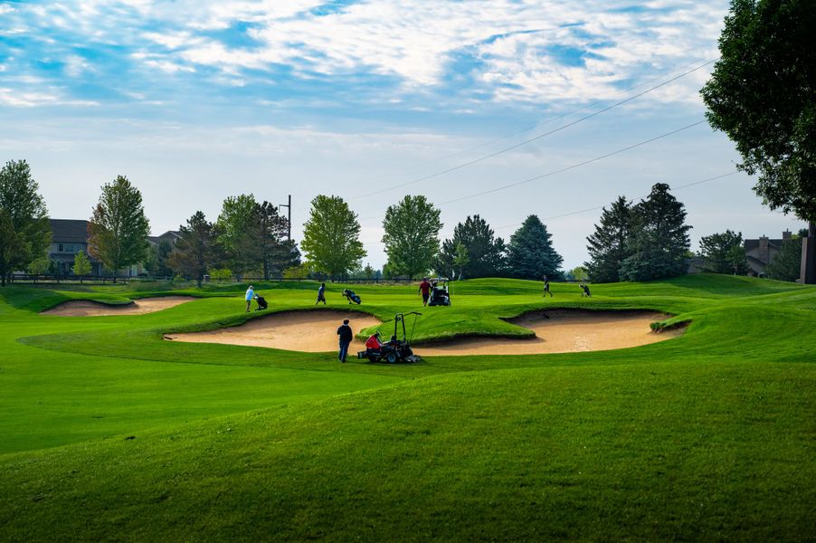 Image 5 of the The Estates Collection at Mead Crossing community in Mead, CO.