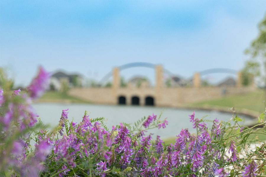 Image 124 of the Solterra community in Mesquite, TX.