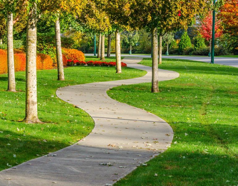 Image 19 of the Grove At Gin Branch community in Wendell, NC.