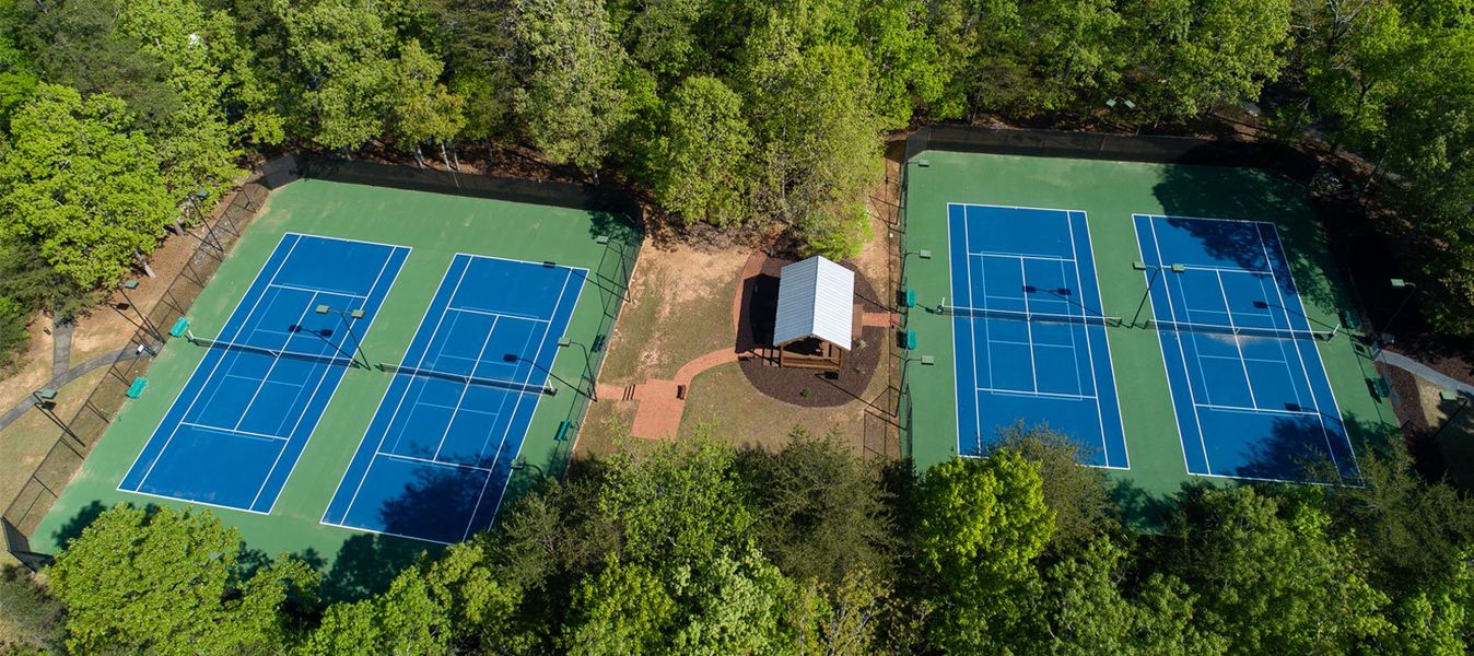 Community amenity available to residents of East Harbor II at Chestatee in Dawsonville (Image 13).