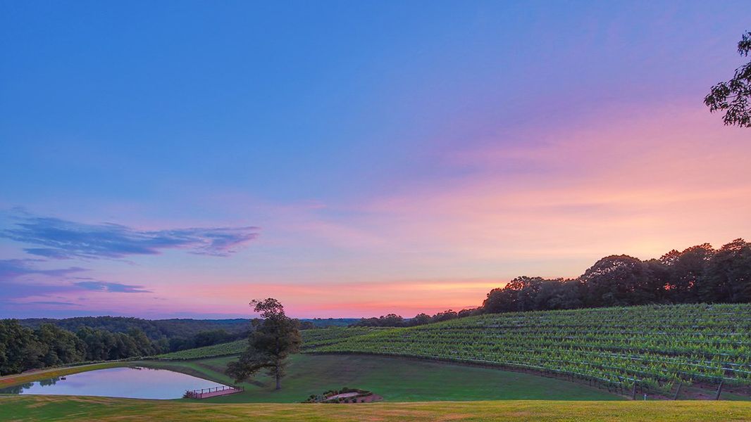Natural surroundings and green spaces near Mountain Park in Dahlonega, GA (Image 59).