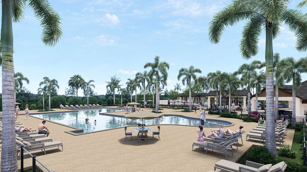 Turnleaf Amenity Pool 3of4 Dev 3 26 26