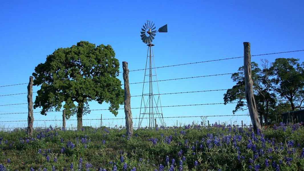 Image 8 of the Maple Reserve community in Waller, TX. Image 8 of the Maple Reserve community in Waller, TX.