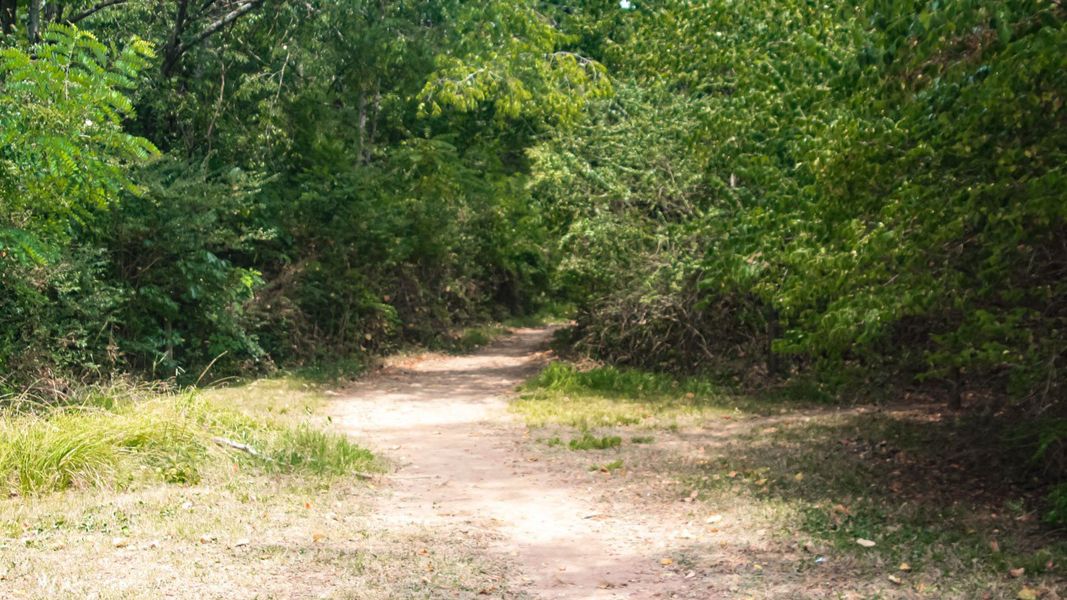 Natural surroundings and green spaces near River Landing in Murfreesboro, TN (Image 41).