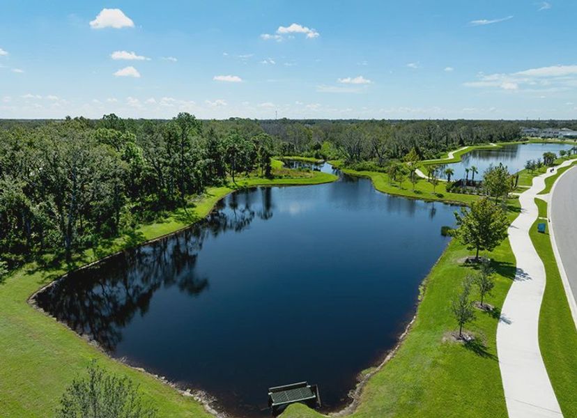 Natural surroundings and green spaces near North River Ranch in Parrish, FL (Image 98). Natural surroundings and green spaces near North River Ranch in Parrish, FL (Image 98).