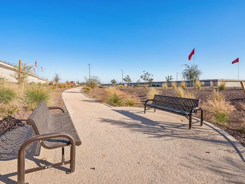 Benches on a sidewalk.