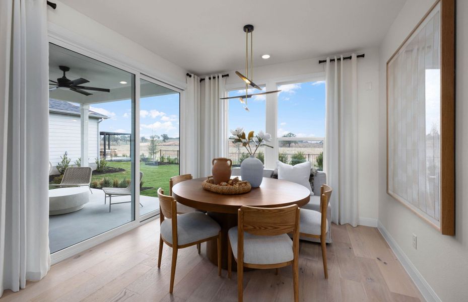 Ample Natural Light Throughout Ample Natural Light Throughout