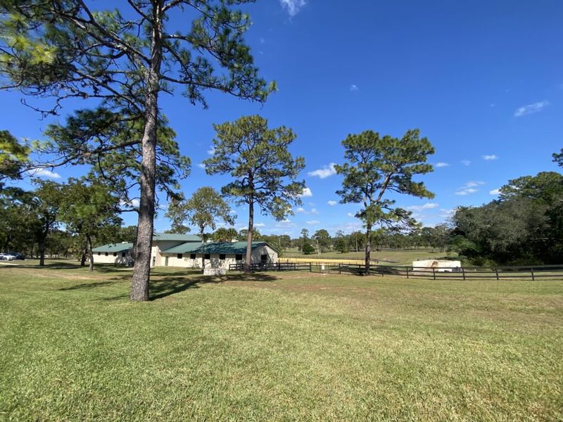 Natural surroundings and green spaces near Pine Ridge in Beverly Hills, FL (Image 46).