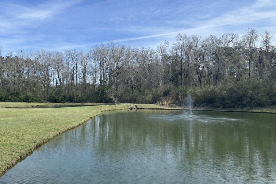 Natural surroundings and green spaces near Waterfall Estates in Whiteville, NC (Image 51).