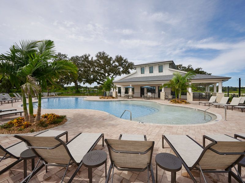 TPA_TheGroveAtStuartCrossing_Amenity_Pool_2389 Citrus Bloom Drive_01.jpg