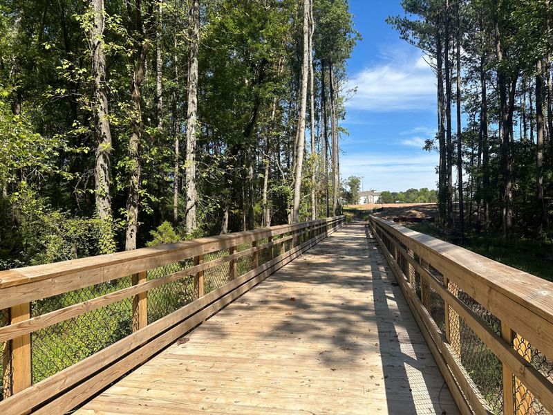 Walking Trail Walking Trail