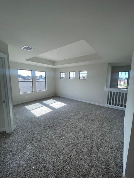 A bright room with plush carpet, tray ceiling, and large windows offering ample natural light.
