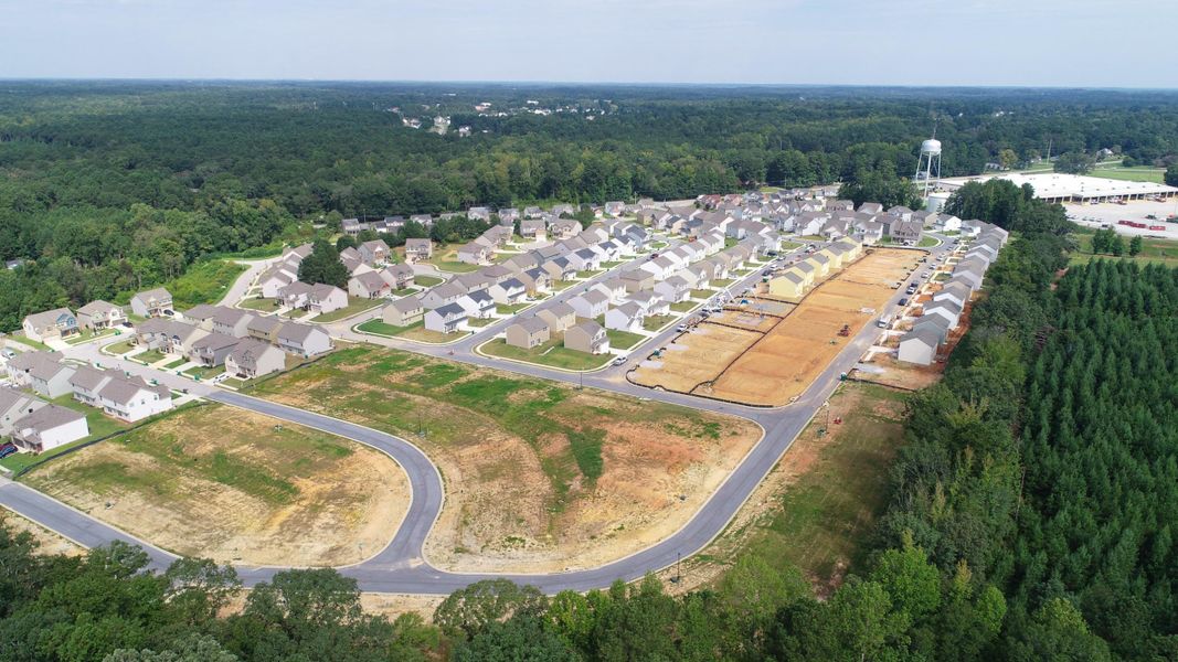A large area with buildings and trees. A large area with buildings and trees.