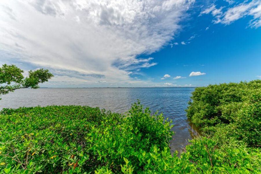 Natural surroundings and green spaces near Legends Bay in Bradenton, FL (Image 153). Natural surroundings and green spaces near Legends Bay in Bradenton, FL (Image 153).