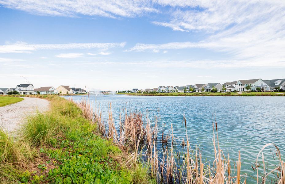 Natural surroundings and green spaces near Lakeside Townes at Riverlights in Wilmington, NC (Image 10).