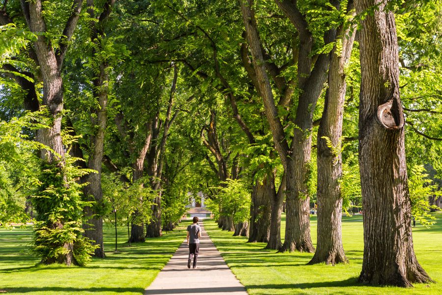Natural surroundings and green spaces near Northfield at Old Town in Fort Collins, CO (Image 10).
