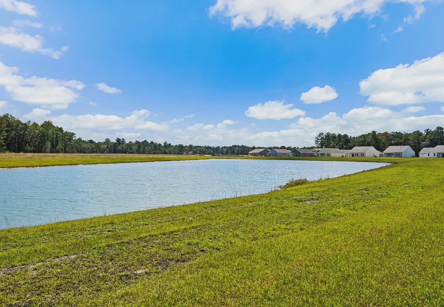 Natural surroundings and green spaces near Andalusia in Loris, SC (Image 17). Natural surroundings and green spaces near Andalusia in Loris, SC (Image 17).