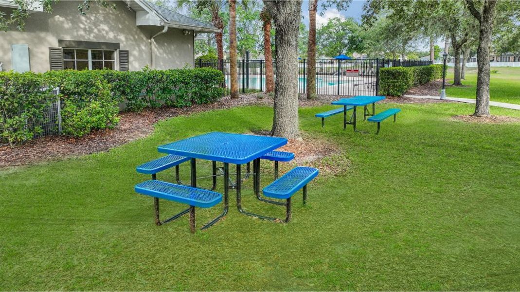 Isle of Avalon picnic area