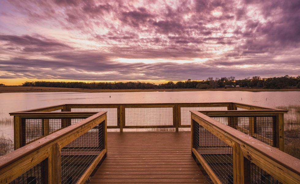 Natural surroundings and green spaces near West Hill Estates in Dade City, FL (Image 21).