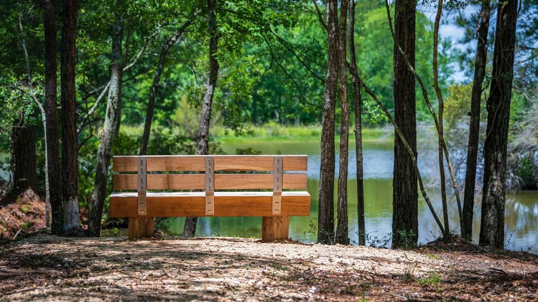 Image 15 of the Chambers Creek master-planned community in Willis, TX.