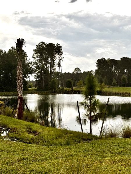 Serene lake view surrounded by lush greenery in RiverTown - Springs by Mattamy Homes, St. Johns, FL. Serene lake view surrounded by lush greenery in RiverTown - Springs by Mattamy Homes, St. Johns, FL.