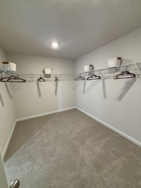A spacious walk-in closet with carpeted flooring, wire shelving, and overhead lighting.