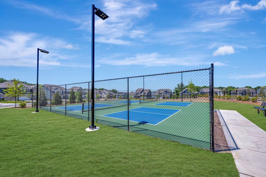 Pickleball Courts