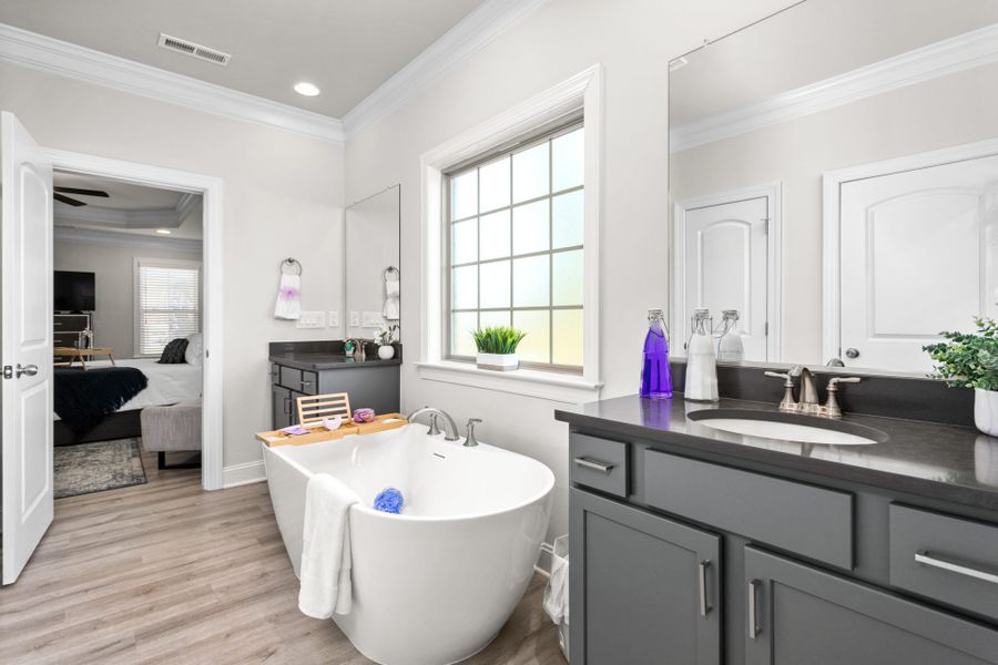 Furnished interior in a model home at Northborough in Colfax (Image 44).