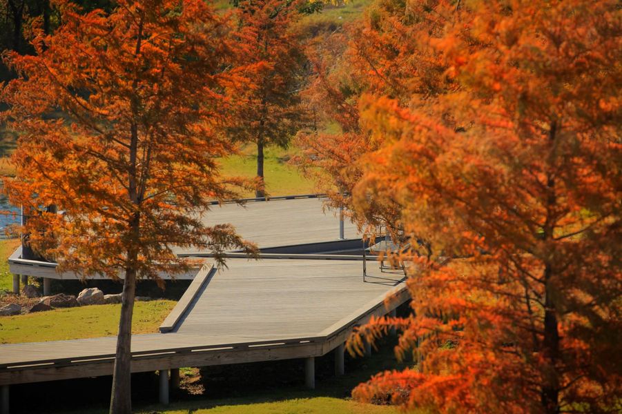 Lilyana Autumn Trail