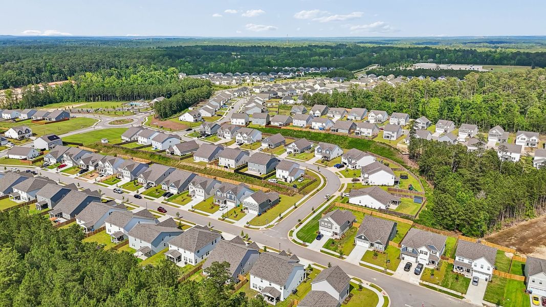 Neighborhood Aerial View Neighborhood Aerial View