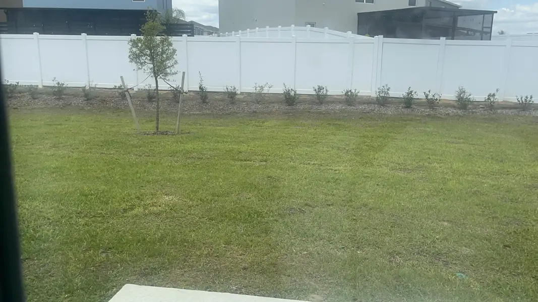 A well-maintained backyard with a neat lawn and young trees in Chateau at Astonia by Lennar (Davenport, FL).