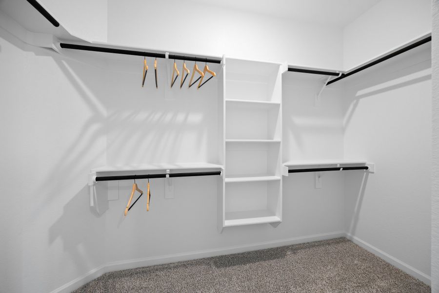 Palmilla Springs - Elderberry Model Home