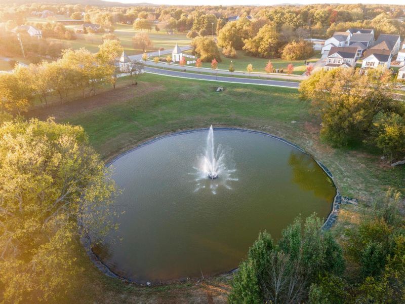 Natural surroundings and green spaces near Shelton Square in Murfreesboro, TN (Image 12).